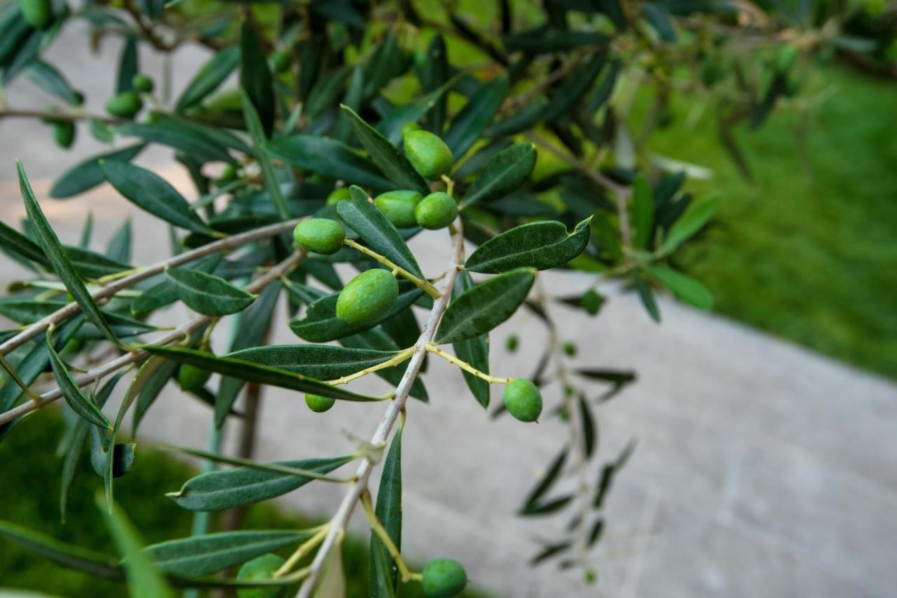Olive 101 Apartment Peraía Екстериор снимка