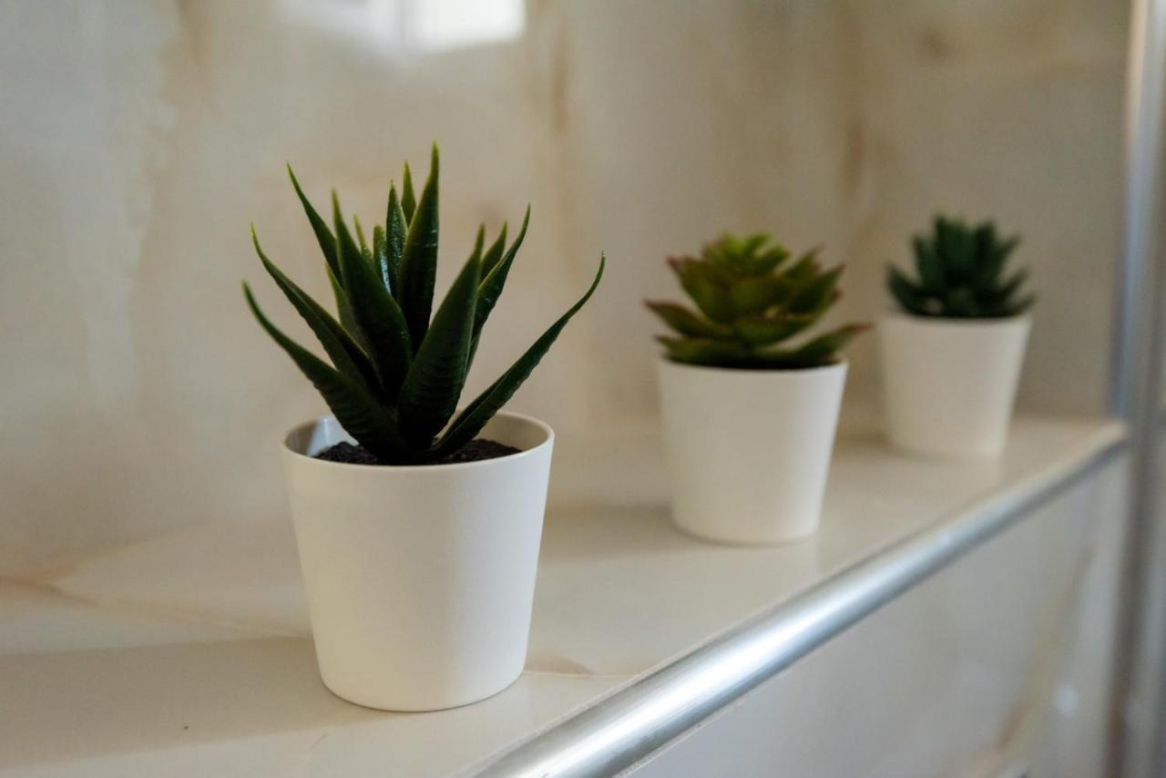 Olive 101 Apartment Peraía Екстериор снимка